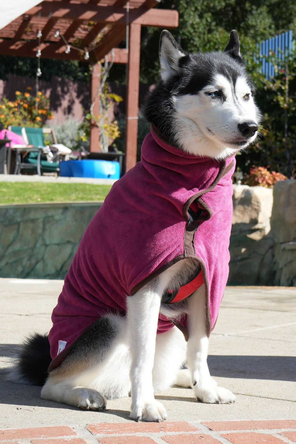 Dog Drying Coat | Microfiber Dog Bathrobe | Soft Absorbent Fast-Drying Robe for Dogs